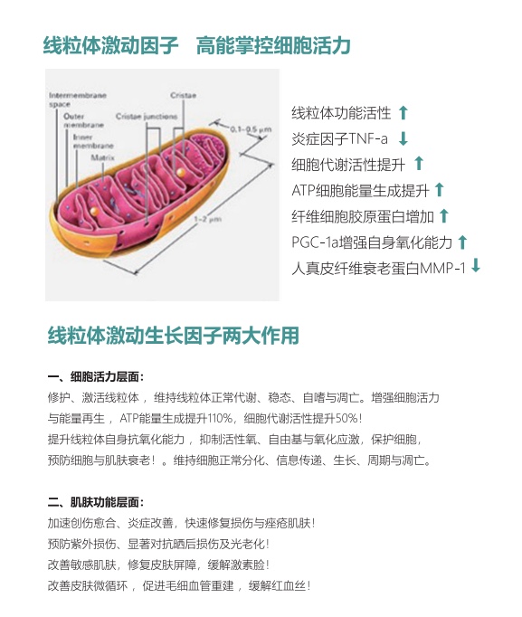  [해외직구]채움앰플 1박스