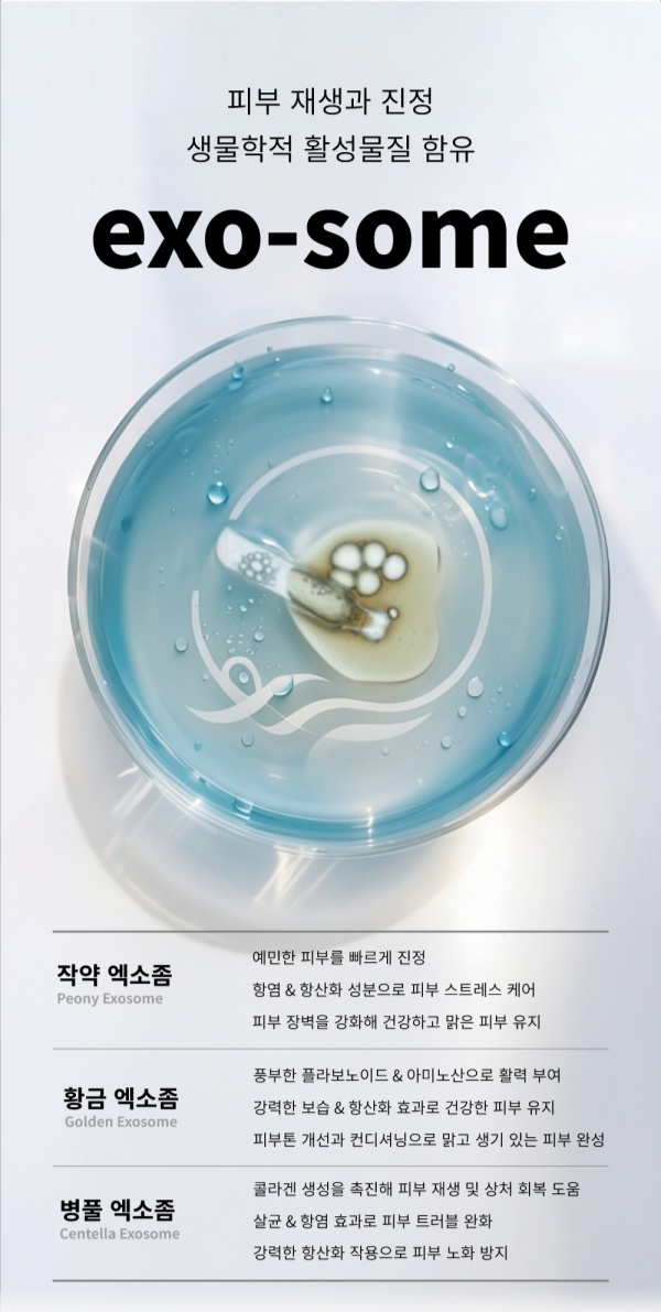 엑토좀15GF 기초 3종 