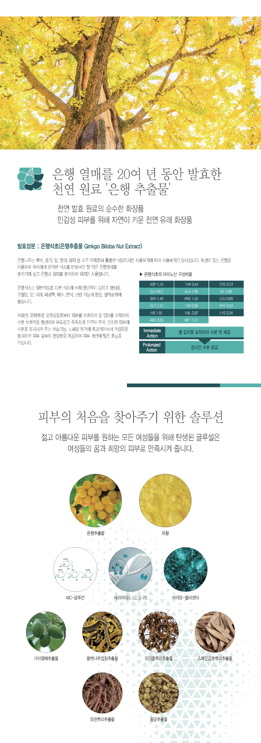 발효화장품