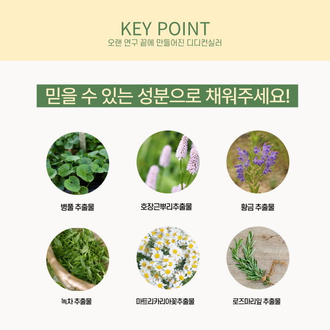 N2U 디디 컨실러