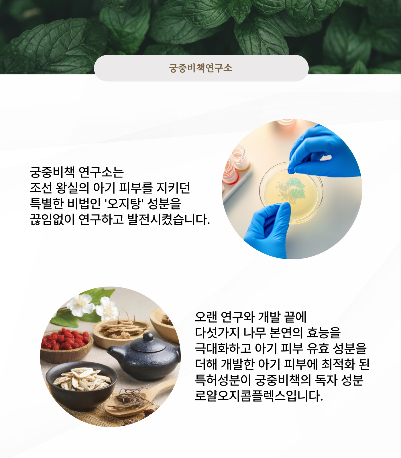 궁중비책 프리뮨 모이스처 로션 250ml