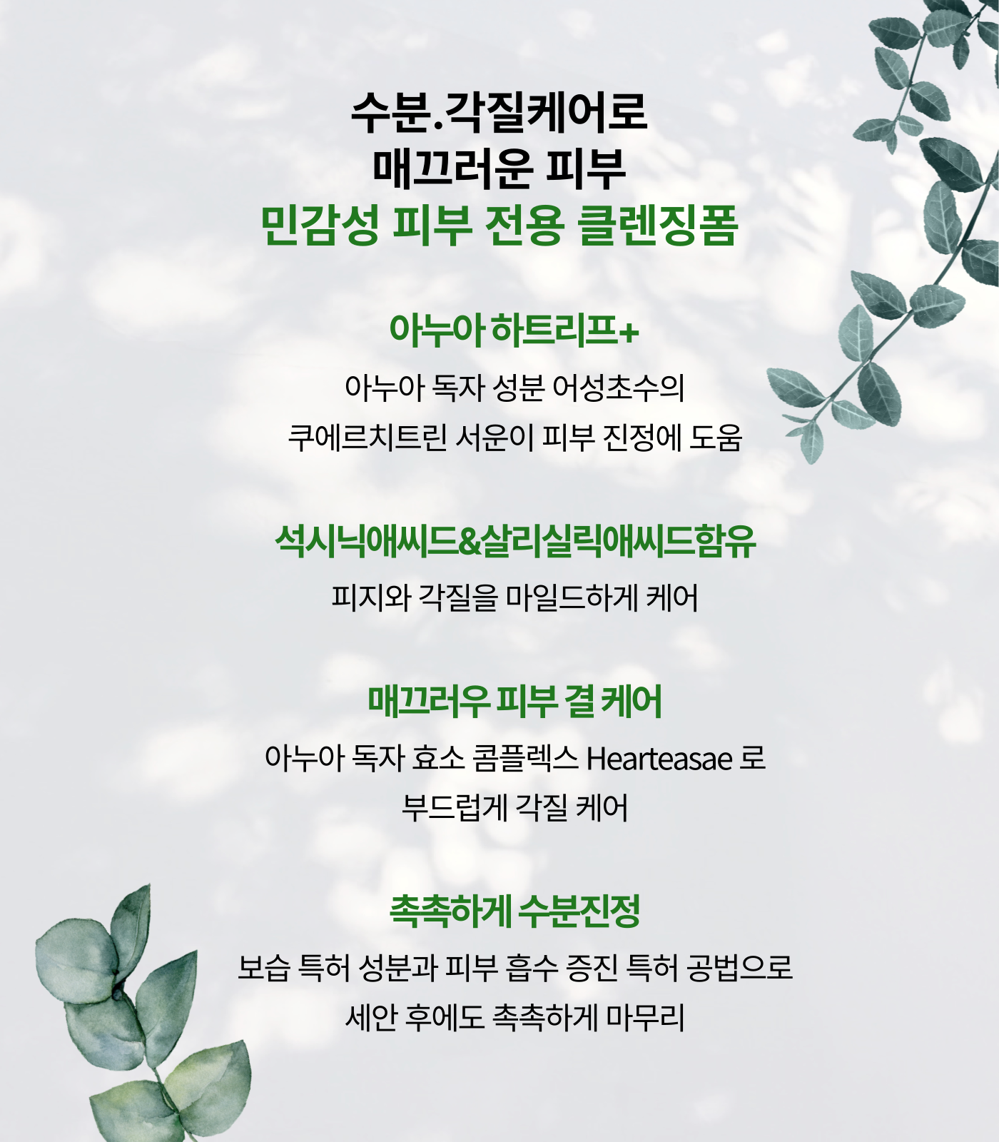 Anua 어성초 석시닉 모이스처 클렌징폼 150ml