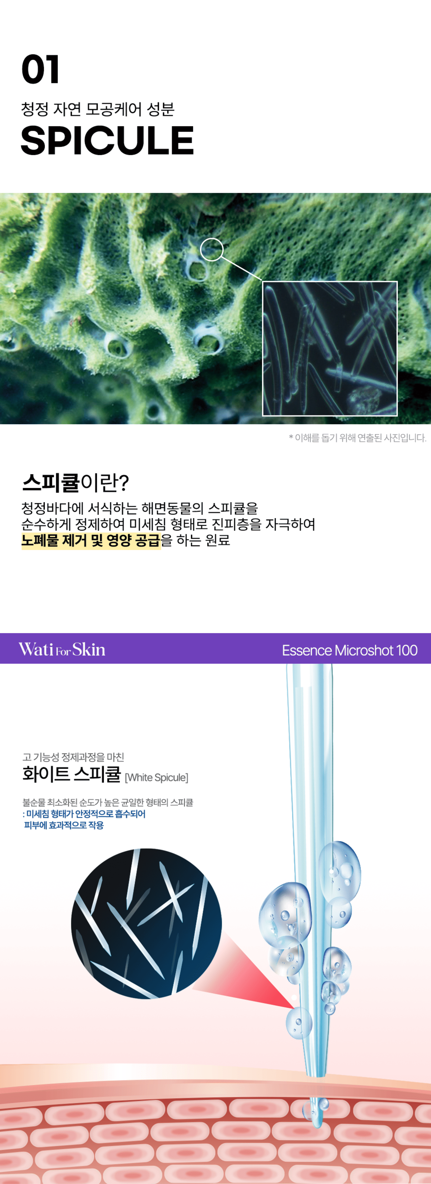 Watty for Skin Letia 微量精华液 100 粒，30 毫升