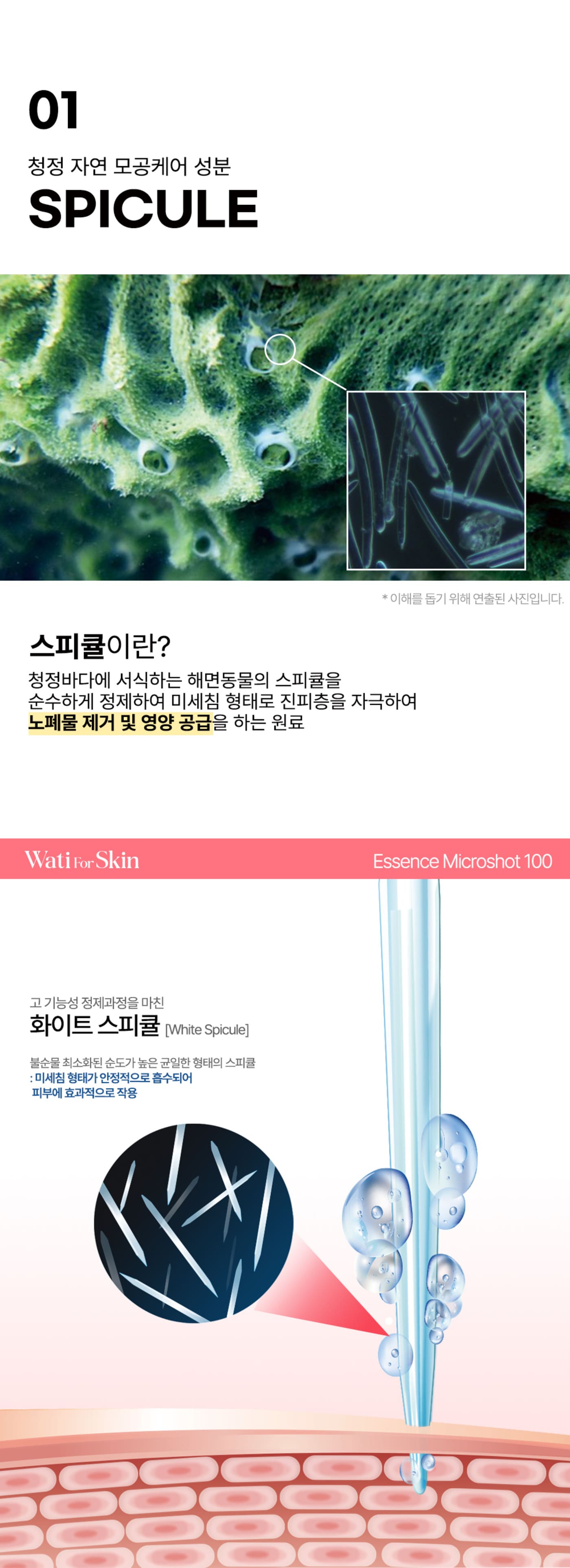 Watty for Skin 烟酰胺精华微量 100 粒，30 毫升