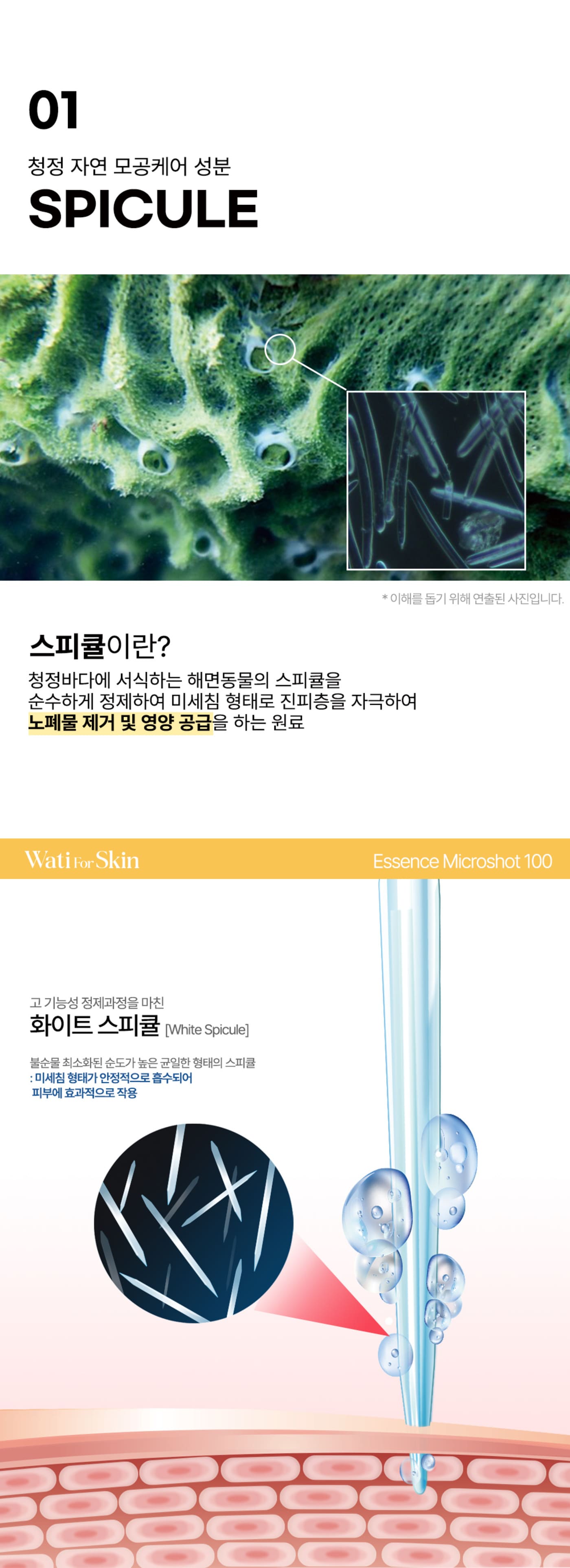 와티 포 스킨 비타민 에센스 마이크로샷 100, 30ml